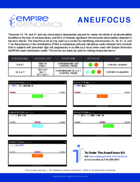 AneuFocus 2 Probe Design Handout