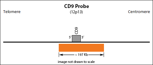  CD9 FISH Probe Ideogram