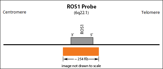 ROS1 FISH Probe Ideogram